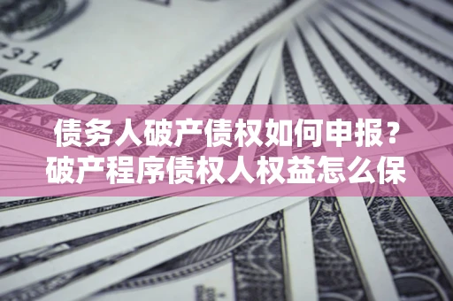北京债务人破产债权如何申报？破产程序债权人权益怎么保障？