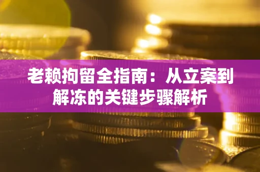 北京老赖拘留全指南：从立案到解冻的关键步骤解析