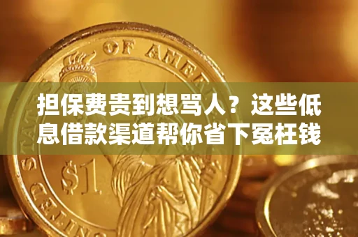 北京担保费贵到想骂人？这些低息借款渠道帮你省下冤枉钱