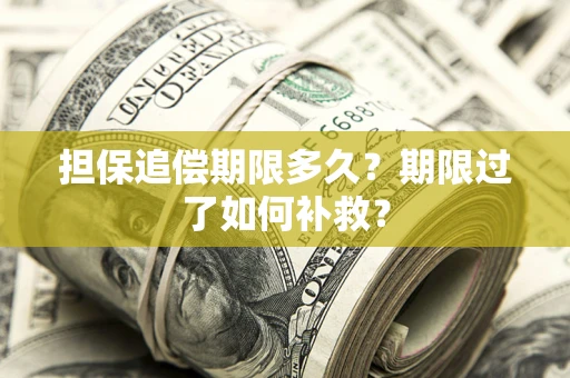 北京担保追偿期限多久？期限过了如何补救？