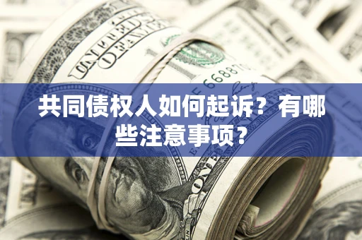 北京共同债权人如何起诉？有哪些注意事项？